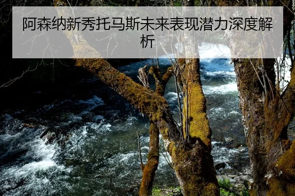 a-sen-na-xin-xiu-tuo-ma-si-wei-lai-biao-xian-qian-li-shen-du-jie-xi-1-282.jpg